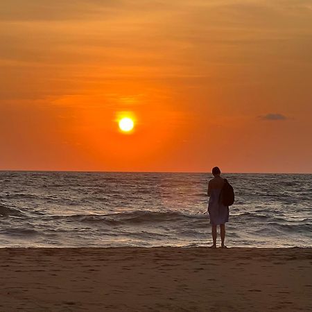 Honey Beach Hostel Negombo Zewnętrze zdjęcie